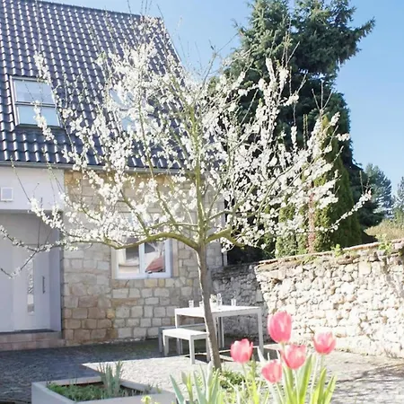 Gartenhaus Land-idylle In Der Stadt * Moguncja