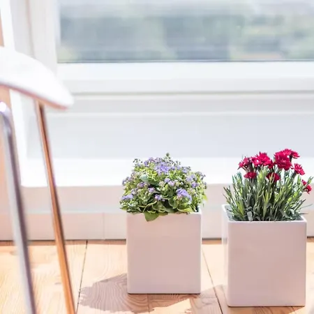 Dom wakacyjny Gartenhaus Land-idylle In Der Stadt *