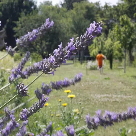 Gartenhaus Land-idylle In Der Stadt *