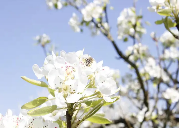 Dom wakacyjny Gartenhaus Land-idylle In Der Stadt