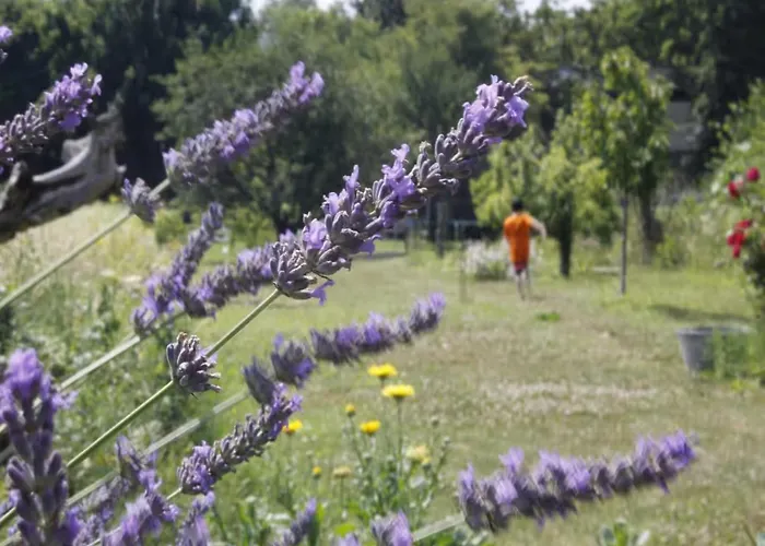 Gartenhaus Land-idylle In Der Stadt *